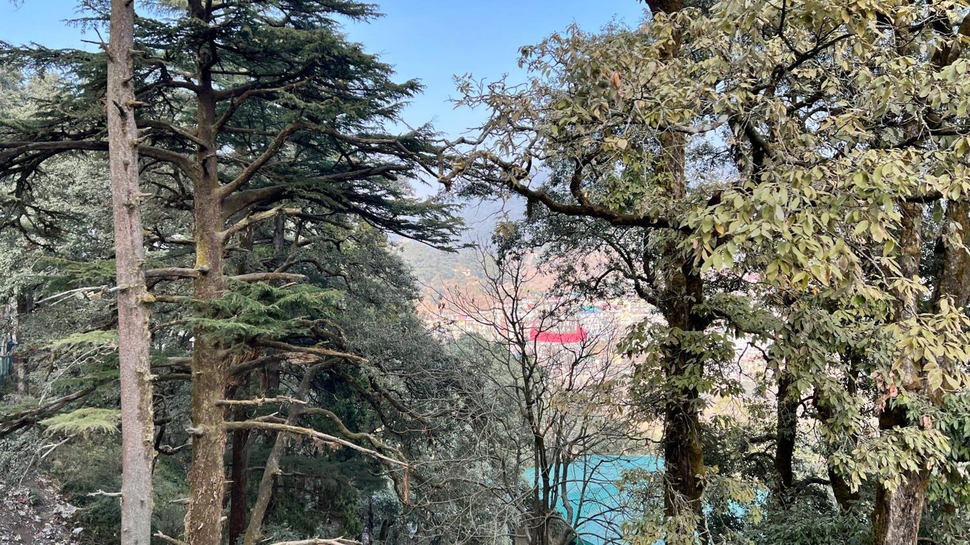 Hotel Pride Inn - 800 Mts From Mall Road Mussoorie Esterno foto